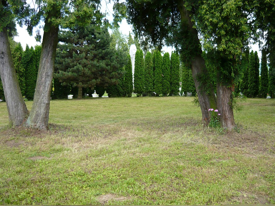 Zeleň na hřbitově